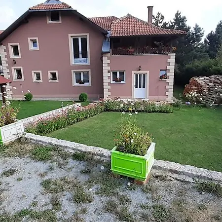 Aleksijevic *