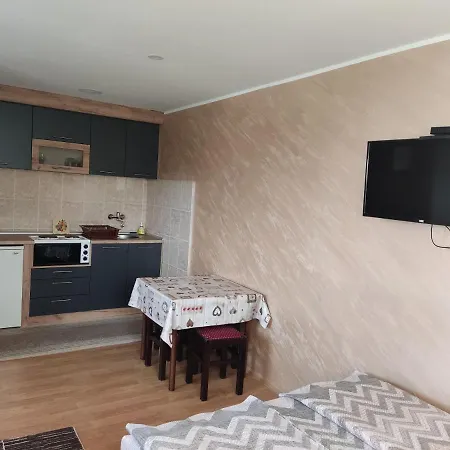 Aleksijevic Apartment