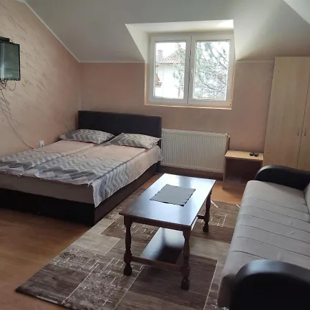 Aleksijevic Zlatibor