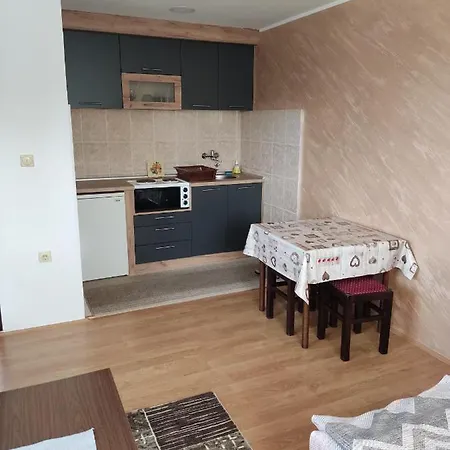 Aleksijevic Apartment