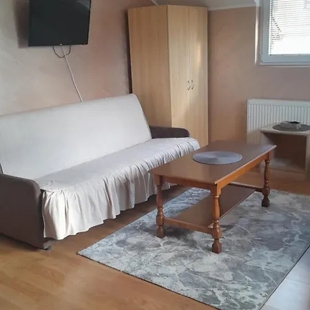 Aleksijevic * 즐라티보