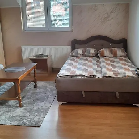 Aleksijevic 즐라티보