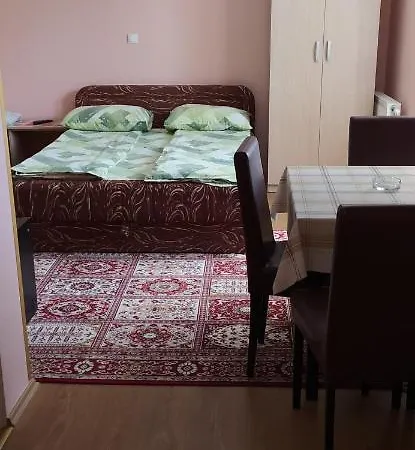 Aleksijevic Apartment *