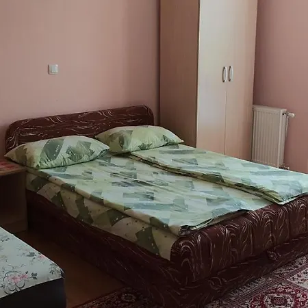 Aleksijevic Apartment *