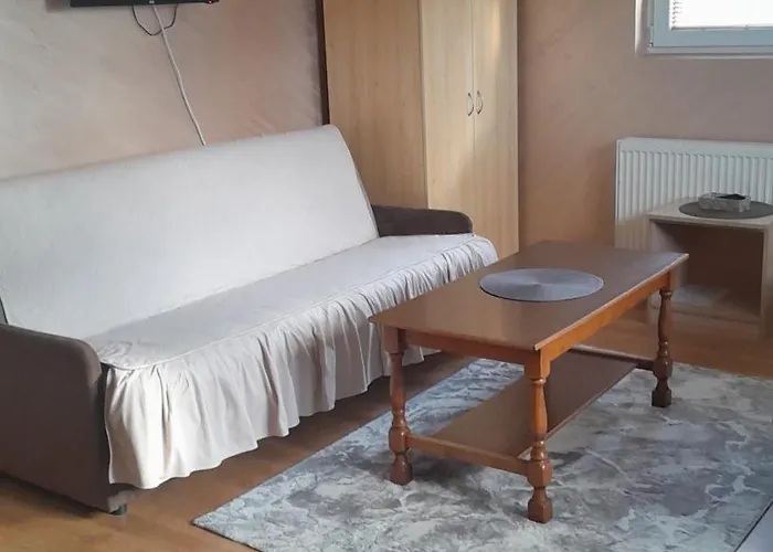 Aleksijevic * 즐라티보