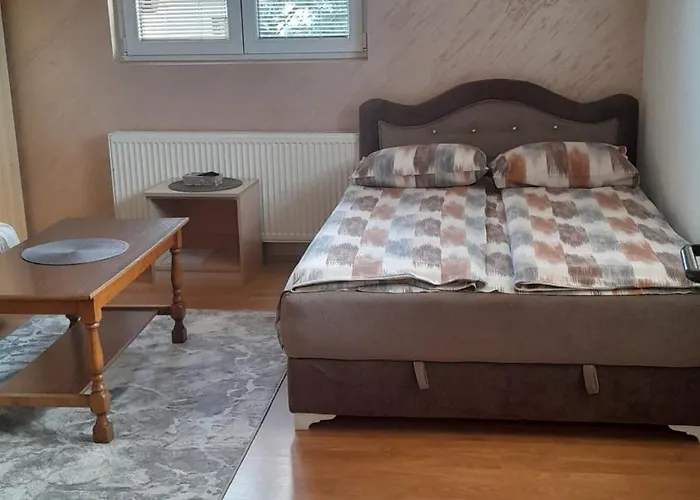 Aleksijevic 즐라티보