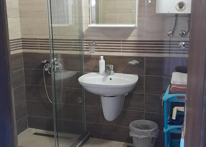 Aleksijevic * 즐라티보