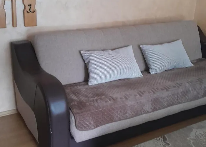 Aleksijevic 아파트 즐라티보