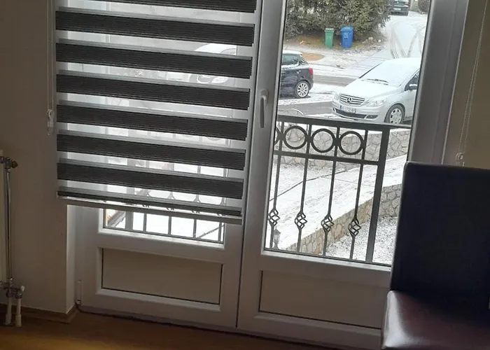 Aleksijevic * 즐라티보