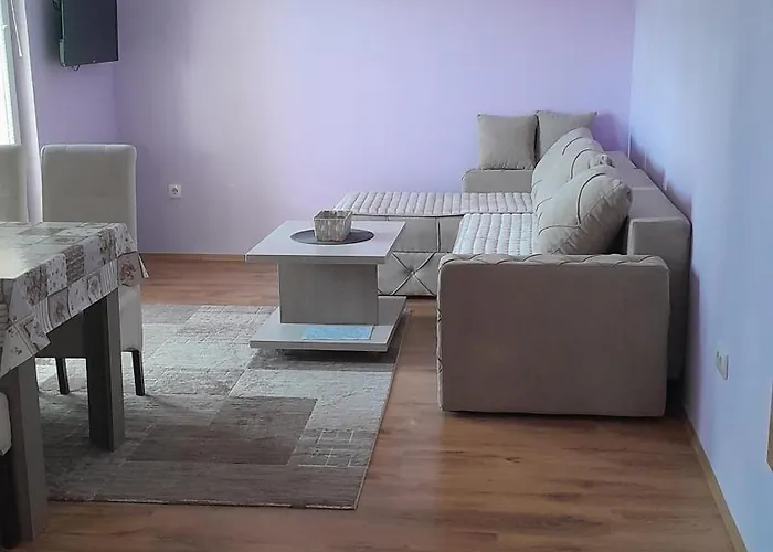 Aleksijevic * 즐라티보