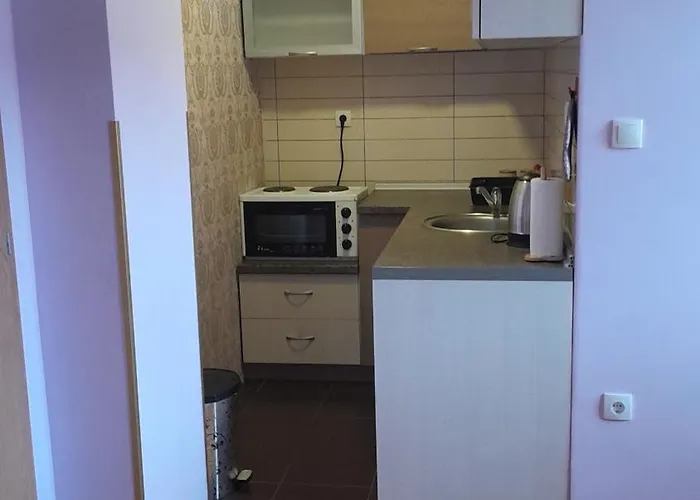 Aleksijevic 아파트 즐라티보