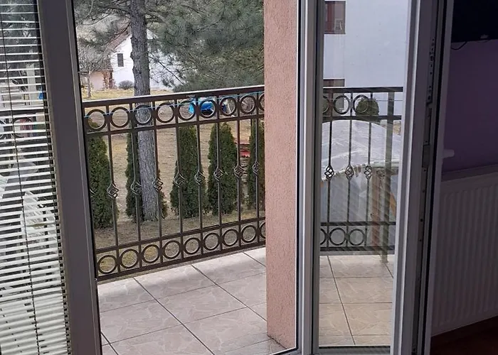 Aleksijevic 즐라티보